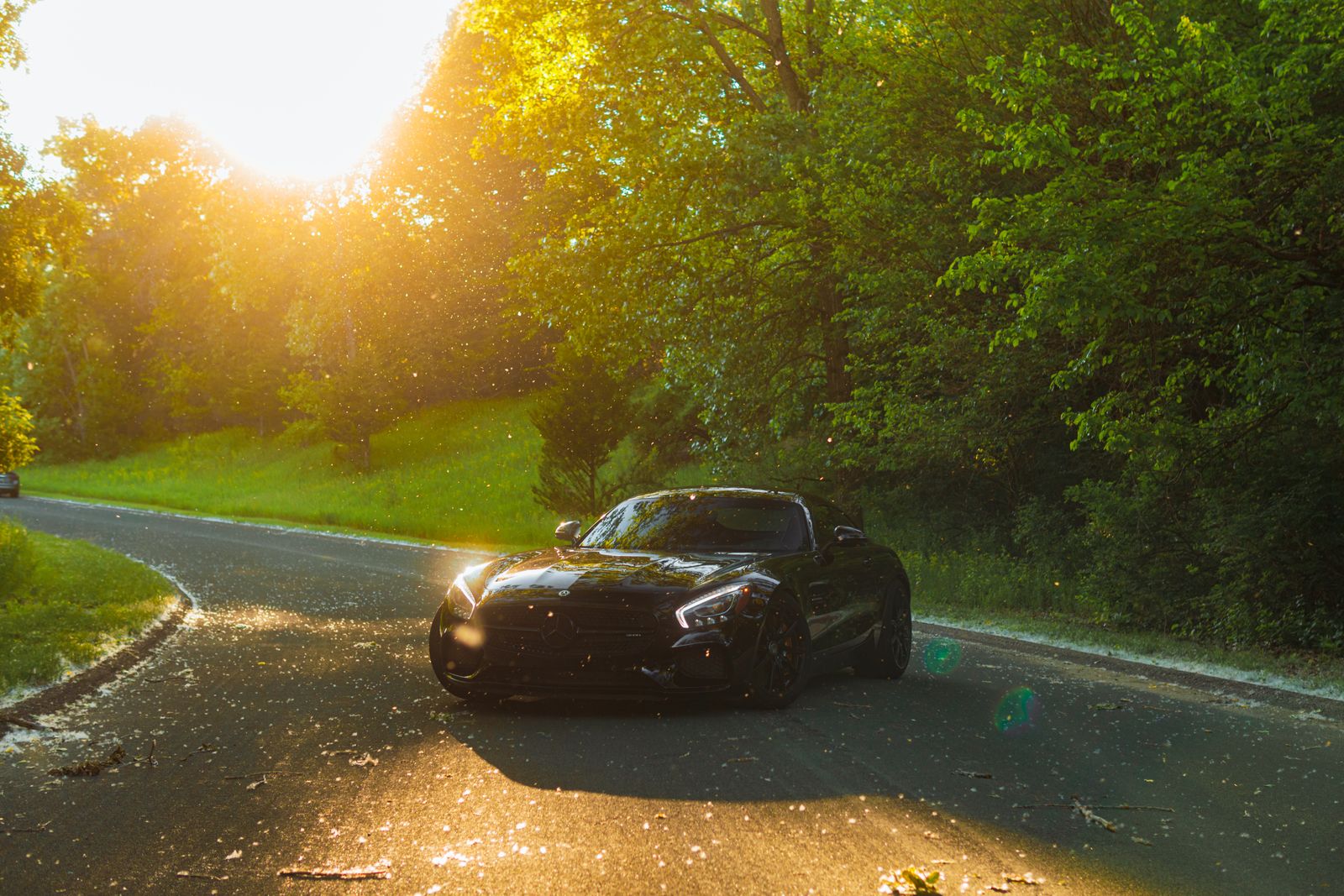 A high-value black sports car on a tree-lined road at golden-hour sunset