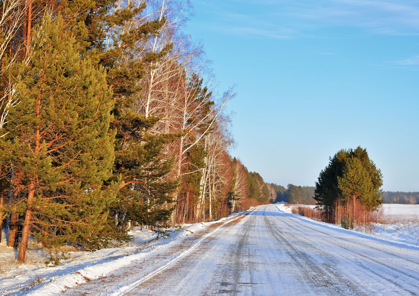 A snow-covered road winding through a winter forest under a clear blue sky